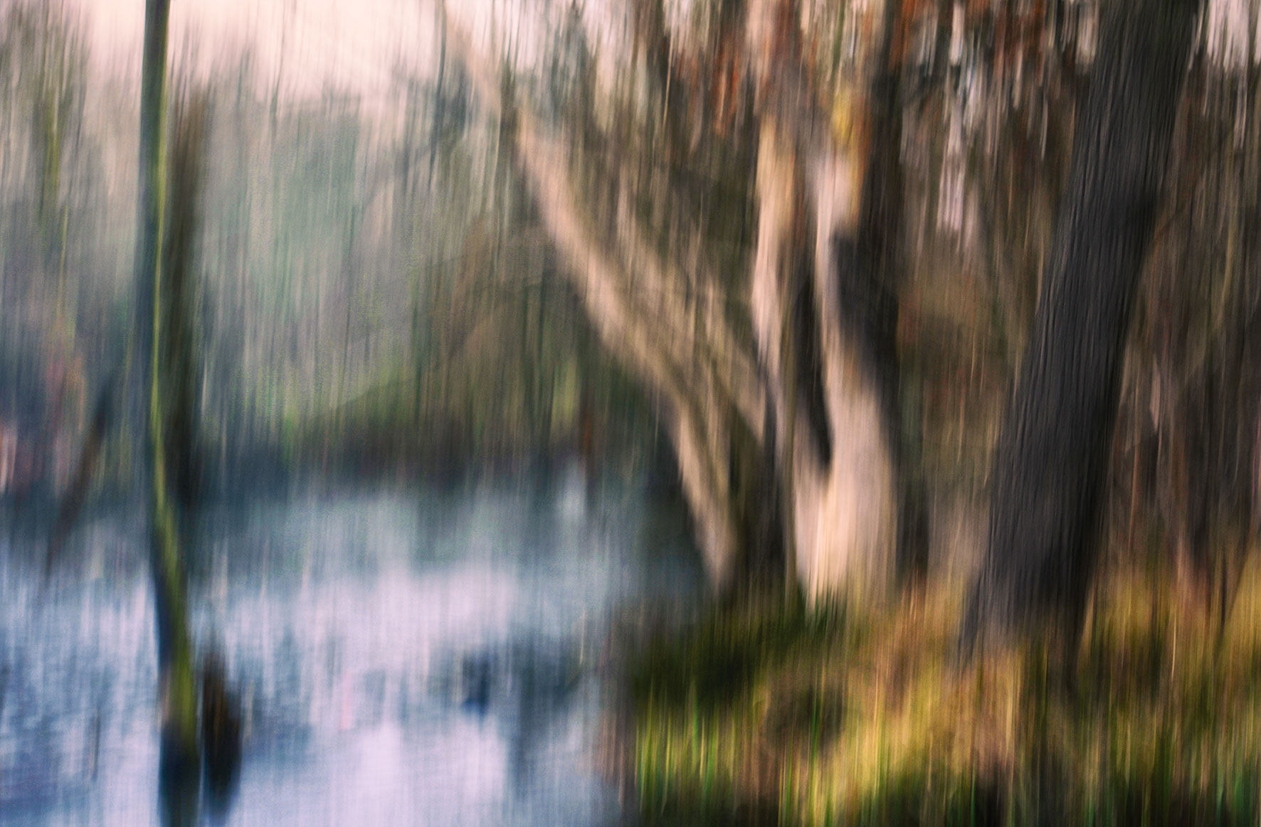 Kreative Landschaftsfotografie mit ICM-Fotografie-Titelbild