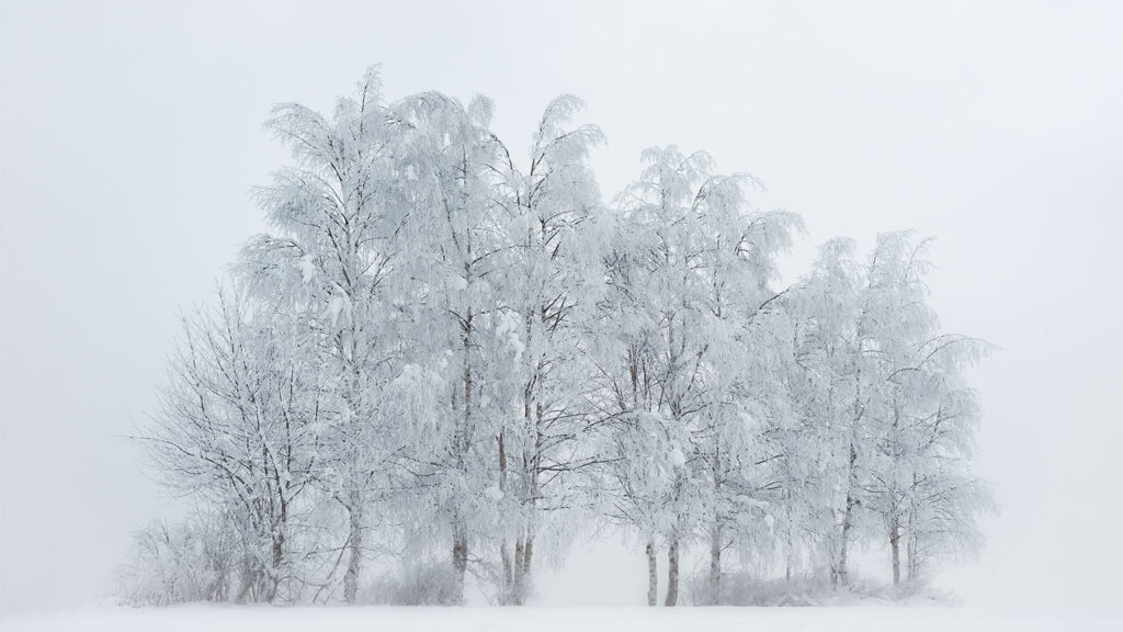 Fotografieren im Winter - Landschaft im Schnee