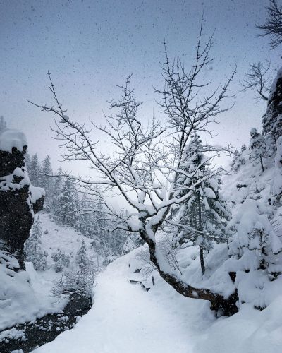 Fotografieren im Winter - Schneeflocken gestrochen scharf abbilden.